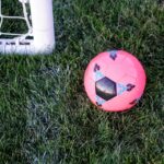 pink rubber ball beside goal net