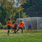 group of children playing soccer on green grass field during daytime